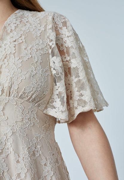 Gisella Lace kjóll - Powder