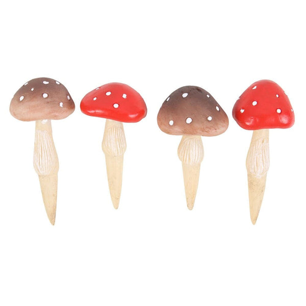 Mushroom plöntuvinir - 4 saman