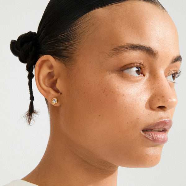 Kota eyrnalokkar - Gylltir