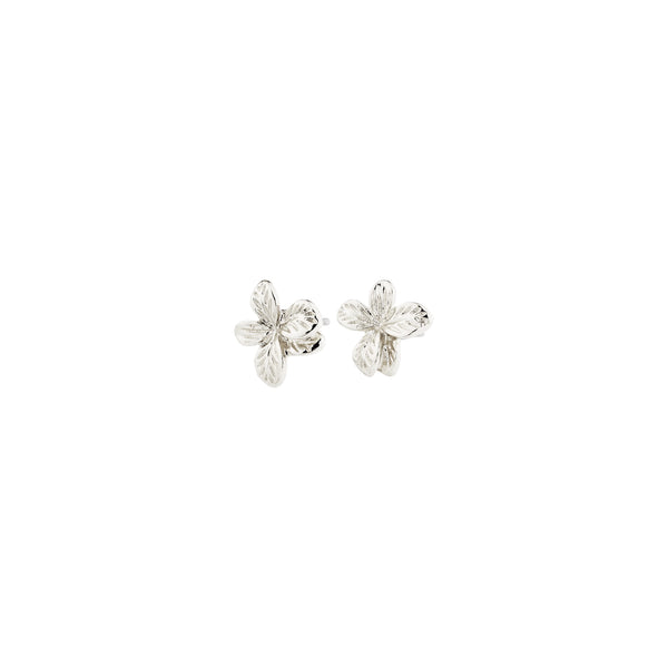 Charmaine Stud eyrnalokkar - Silfraðir