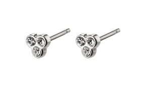 Caily Earrings Silver