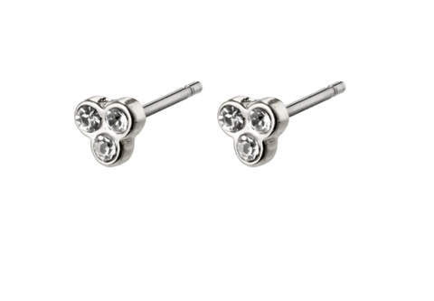 Caily Earrings Silver