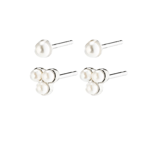 Valerie Earrings Silver