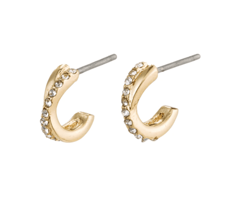 Anouk Earrings Gold