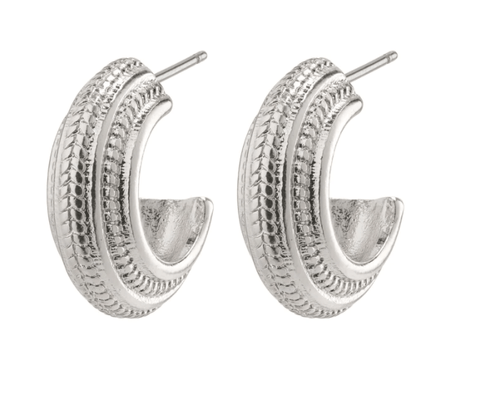 Macie Earrings Silver