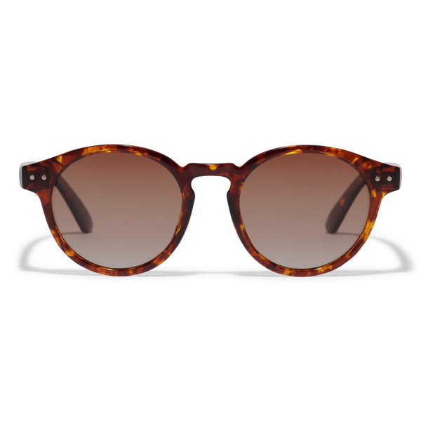 Kyrie sólgleraugu-Tortoise Shell