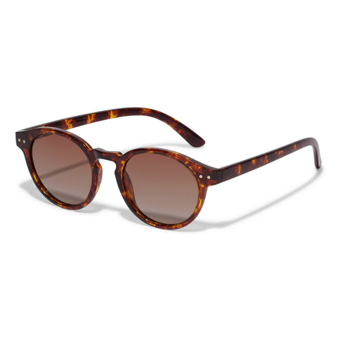 Kyrie sólgleraugu-Tortoise Shell